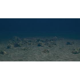 Sea Floor 3D model
